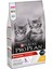 Pro Plan Kitten 10kg Yavru Kedi Kitten Chicken Tavuklu Junior Yavru Kedi Maması 1