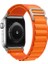 Apple Watch Alpine Loop Kordon 1