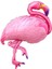 Pembe Flamingo Folyo Balon 1