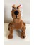 Scooby-Doo Peluş 30 cm 2