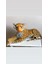 Oyuncak Leopar Kaplan Peluş Dev Boy 90 cm 2