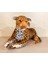 Peluş Kaplan Dev Boy 60 cm 1