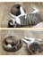 Kedi Tırmalama Tahtası (Yurt Dışından) 5
