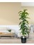 Yapay Ağaç Yukka Dracena 180*70CM Galvaniz Gümüş Kemerli Siyah Saksıda Salon Çiçeği Yapay Çiçek 3