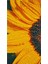 Aycicegi 36 x 71 Elmas Mozaik Tablo 1
