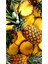 Ananas 30 x 51 Elmas Mozaik Tablo 1