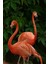 Bir Cift Flamingo 40 x 60 Elmas Mozaik Tablo 1