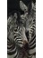 Bir Cift Zebra 40 x 60 Elmas Mozaik Tablo 1