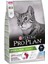 Proplan Sterilised Okyanus Balıklı Kedi 10 kg Proplan Kısırlaştırılmış Okyanus Balıklı Kedi Maması 1