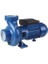 TSP-300M 3 Hp Bronz Fanlı Tonajlı Santrifüj Pompa 220V- 1
