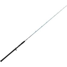SHIMANO Savage Gear Sgs2 Jigging 5'9''/1.80M 60-180GR Tek Parça