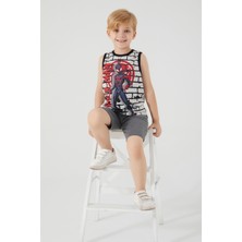 Marvel Spider-Man Shadowed Gri Erkek Çocuk Bermuda Takım