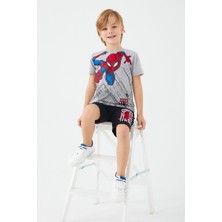 Marvel Spider-Man Buildings Gri Erkek Çocuk Bermuda Takım
