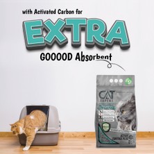 CAT EXPERT Kedi Kumu Active Control Plus Aktif Karbonlu Topaklanan Ve Koku Hapseden Tozsuz 8 Lt X 2 Adet