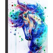 WebStyle Sayılarla Boyama Seti Kasnaklı Masal ve At 40 x 50 cm