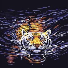 WebStyle Sayılarla Boyama Seti Kasnaklı Deniz Kaplanı 60 x 75 cm
