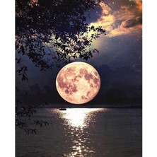 WebStyle Sayılarla Boyama Seti Kasnaklı Gece ve Dolunay 40 x 50 cm