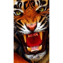 WebStyle Sayılarla Boyama Seti Kasnaklı Kaplanın Öfkesi 60 x 75 cm