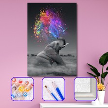 WebStyle Sayılarla Boyama Seti Kasnaklı Renk Yağmuru ve Fil 40 x 50 cm