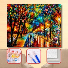 WebStyle Sayılarla Boyama Seti Kasnaklı Renkli Yağmur 40 x 50 cm