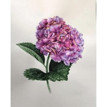 WebStyle Sayılarla Boyama Seti Kasnaklı Güzel Ortanca 1 40 x 50 cm