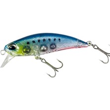 Duo Tetra Works Toto 48HS CCC0475 Sardine Spirit