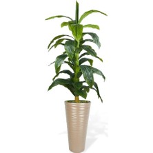 Nettenevime Yapay Ağaç Yukka Kılıç Çiçeği Dore Kumsal Vazoda 185*70 35 Yaprak