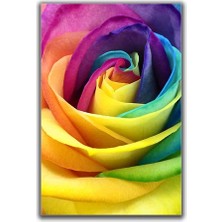 Gökkuşağı Gül Kanvas Tablo