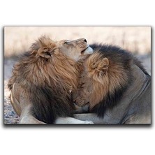 Aslanlanların Dostlugu Kanvas Tablo