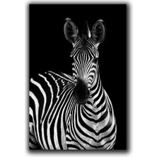 Zebra Portre Kanvas Tablo