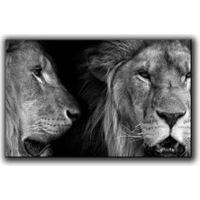 Siyah Beyaz Aslan Portreleri Kanvas Tablo