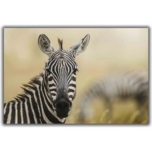 Zebra Kanvas Tablo