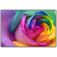 Gökkuşağı Gül Kanvas Tablo