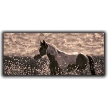 Yalnız Mustang Kanvas Tablo
