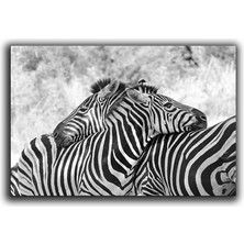 Zebra Kanvas Tablo
