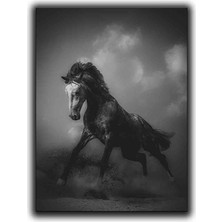 Siyah Beyaz Kosan At Kanvas Tablo