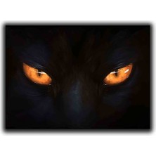 Turuncu Kedı Gozu Kanvas Tablo