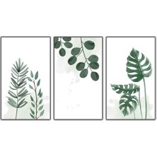 Palmiye,okaliptus ve Yapraklar Uc'lu Kanvas Tablo