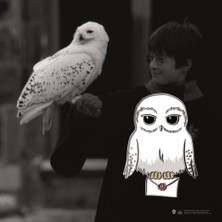 Sihir Dükkanı Hedwig Pin 3×4 cm Lisanslı Metal