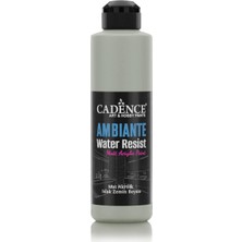 Ambıente Suya Day. Akr. Boya Aw-13 Ihlamur 250ML + Katalizör 10GR