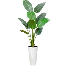 Nettenevime Yapay Ağacı Beyaz 57CM Uzun Kumsal Vazoda Muz Ağacı Yapay Starliçe 195CM 10 Yaprak