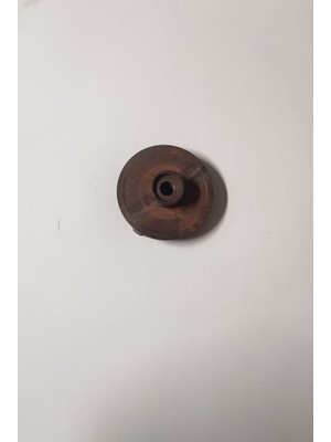 Palmera Su Pervanesi 3''