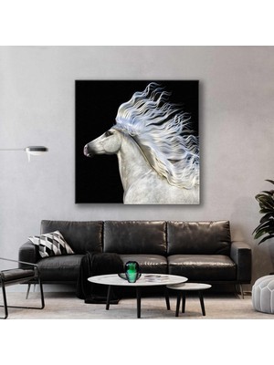 SML Tablo Rüzgarda Saçları Uçuşan Beyaz Asil At Hayvan Kanvas Tablo