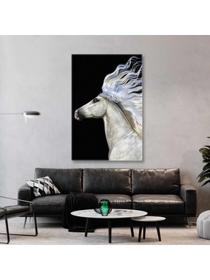 SML Tablo Beyaz Saçları Rüzgarda Uçuşan Asil At Kanvas Tablo