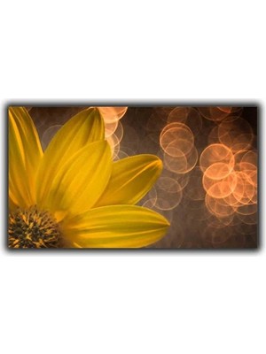 Işıklar ve Çiçekler Sim Dokulu Kanvas Tablo