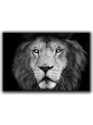 Siyah Beyaz Erkek Aslan Portresi Kanvas Tablo