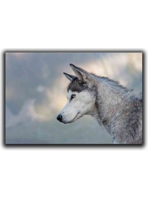 Husky Kopek Kanvas Tablo