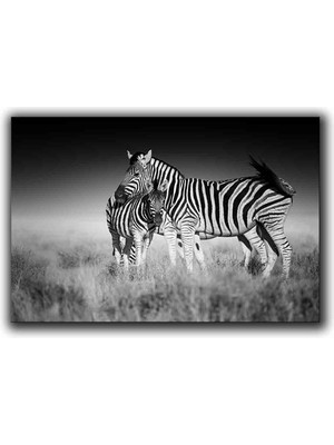Siyah Beyaz Zebra Kanvas Tablo