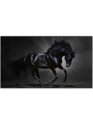 Koşan Siyah Asil At Kanvas Tablo