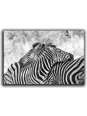 Zebra Kanvas Tablo